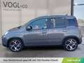 Fiat Panda FireFly Hybrid 70 Sport Grau - thumbnail 2