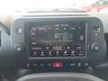 Fiat Panda FireFly Hybrid 70 Sport Grau - thumbnail 18