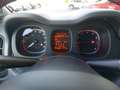 Fiat Panda FireFly Hybrid 70 Sport Grau - thumbnail 14