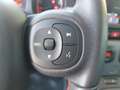 Fiat Panda FireFly Hybrid 70 Sport Grau - thumbnail 16