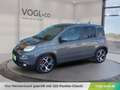 Fiat Panda FireFly Hybrid 70 Sport Grau - thumbnail 1