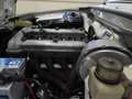 Alfa Romeo 1750 TIPO 105.48 - ISCRITTA ASI CON C.R.S. – SUPERPREZZO (1969) Weiß - thumbnail 11