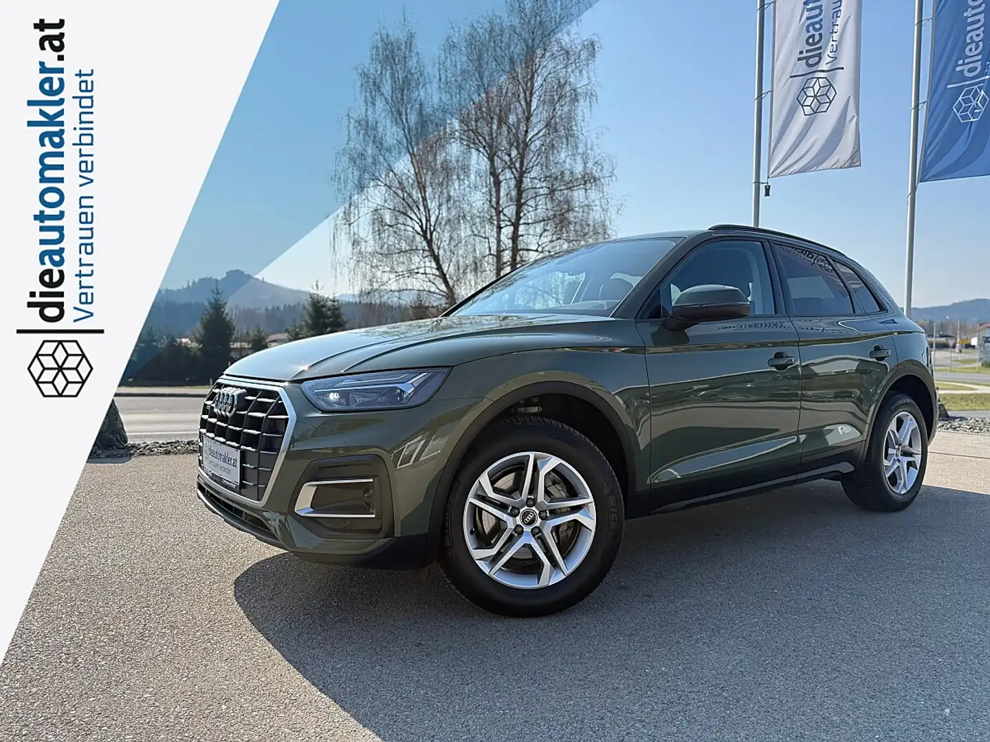 Audi Q5 40 TDI quattro S-tronic *AHK*KAMERA*VIRTUAL* Grün - 1