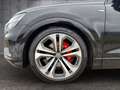 Audi Q8 50 TDI quattro 3xS-Line All Black Schwarz - thumbnail 19