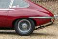 Jaguar E-Type 4.2 Litre 2+2 Coupe Series 2 "Automatic" PRICE RED Czerwony - thumbnail 9
