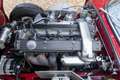 Jaguar E-Type 4.2 Litre 2+2 Coupe Series 2 "Automatic" PRICE RED Czerwony - thumbnail 4