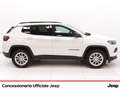 Jeep Compass 1.3 turbo t4 phev business 4xe auto Weiß - thumbnail 5