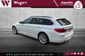 BMW 530 d xDrive Luxury*PANO*NAV-PROF*ACC*SPUR*AHK* Weiß - thumbnail 12