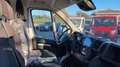 Fiat Ducato easy pro 35 LH2 2.2 mjt3 140cv serie 7 Bianco - thumbnail 13