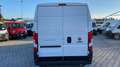 Fiat Ducato easy pro 35 LH2 2.2 mjt3 140cv serie 7 Bianco - thumbnail 5