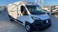 Fiat Ducato easy pro 35 LH2 2.2 mjt3 140cv serie 7 Bianco - thumbnail 3