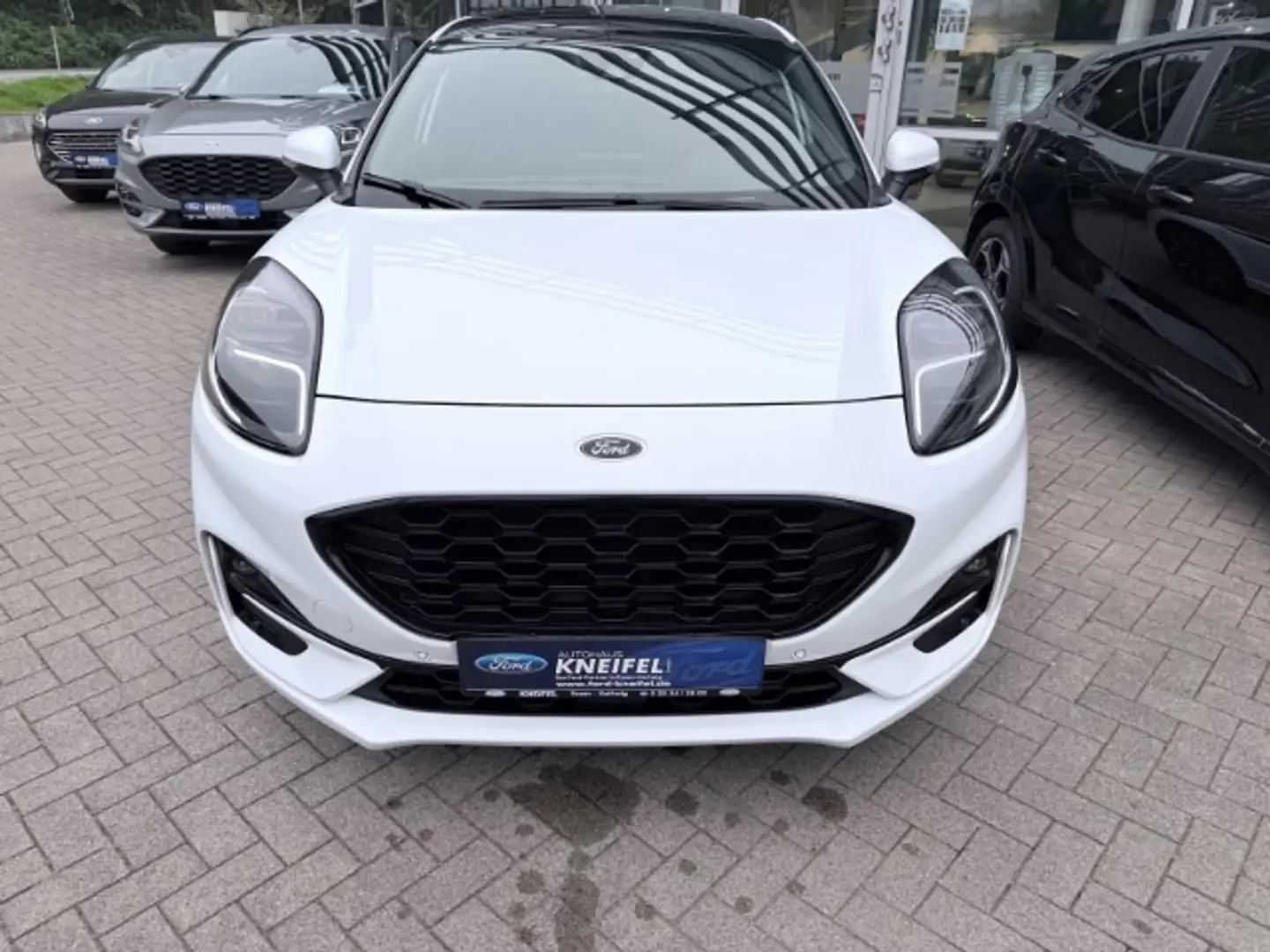Ford Puma ST-Line X Elektr. Panoramadach Rückfahrkam. B & O Wit - 2