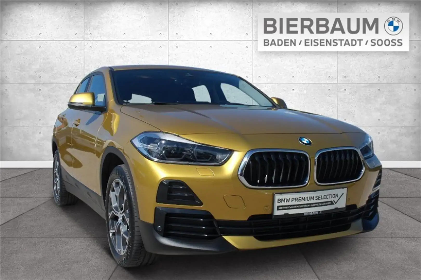 BMW X2 xDrive18d Gold - 1