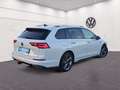 Volkswagen Golf Variant R-Line 2.0 TDI DSG 3,99% AHK PANO MATRIX HEAD KAM Weiß - thumbnail 8