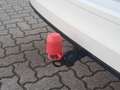Volkswagen Golf Variant R-Line 2.0 TDI DSG 3,99% AHK PANO MATRIX HEAD KAM Weiß - thumbnail 11
