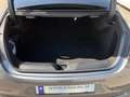 Mercedes-Benz CLS 400 d 4MATIC *AMG-Line,Ambientebeleuchtung,Burmester,S Grau - thumbnail 15