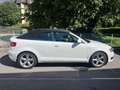 Audi A3 A3 Cabriolet 1,9 TDI Ambition DPF Ambition Weiß - thumbnail 1