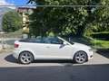 Audi A3 A3 Cabriolet 1,9 TDI Ambition DPF Ambition Weiß - thumbnail 2