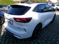 Ford Kuga Plug-In Hybrid ST-Line X Weiß - thumbnail 3
