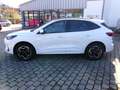 Ford Kuga Plug-In Hybrid ST-Line X Weiß - thumbnail 5