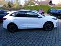 Ford Kuga Plug-In Hybrid ST-Line X Weiß - thumbnail 2