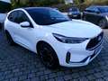 Ford Kuga Plug-In Hybrid ST-Line X Weiß - thumbnail 1