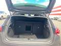 Citroen DS4 BlueHDi 120 So Chic Aut. | nur B2B Grau - thumbnail 18