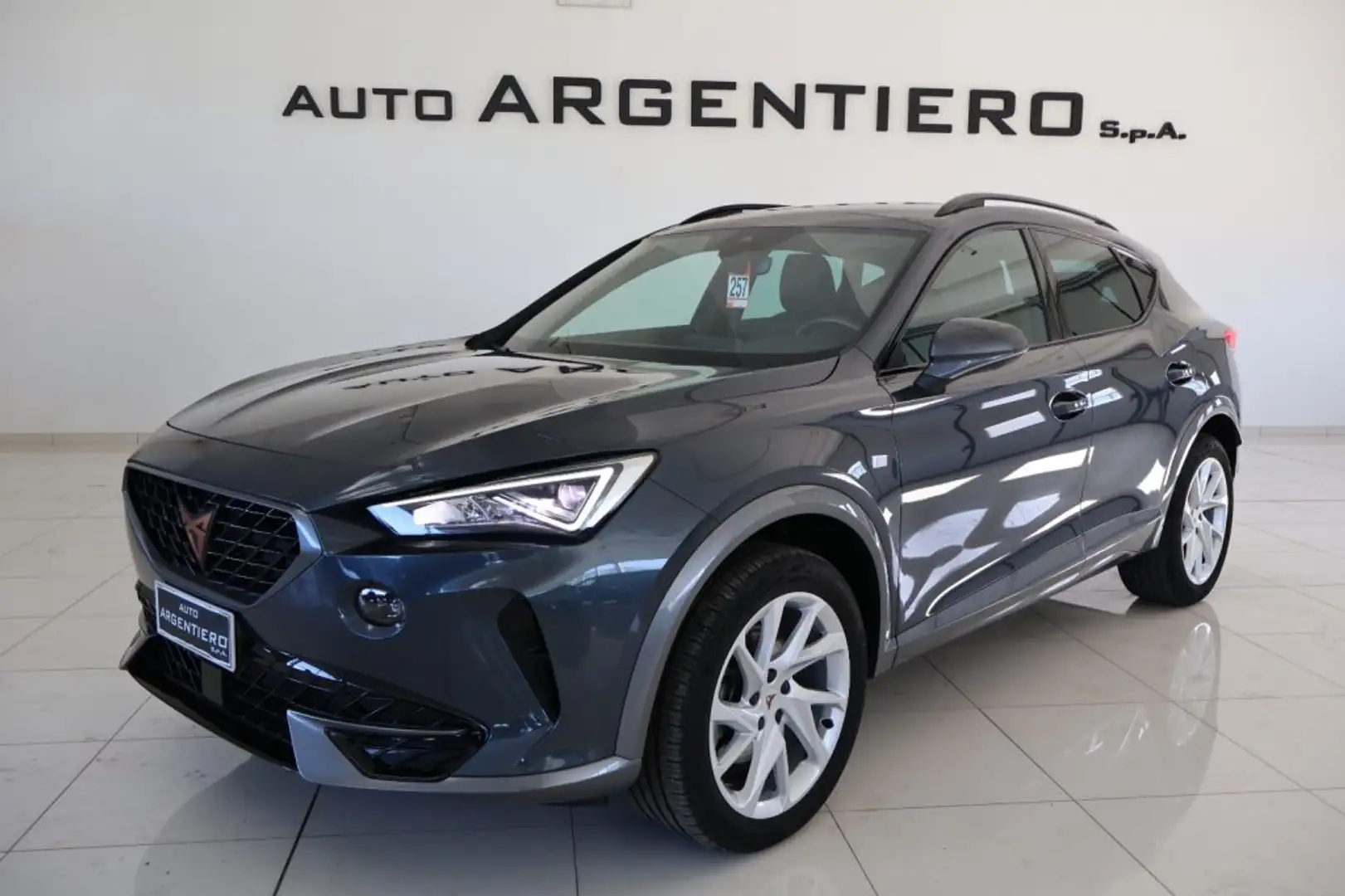 CUPRA Formentor 2.0 TDI Manuale soli 20.877 km!!!! Grigio - 1