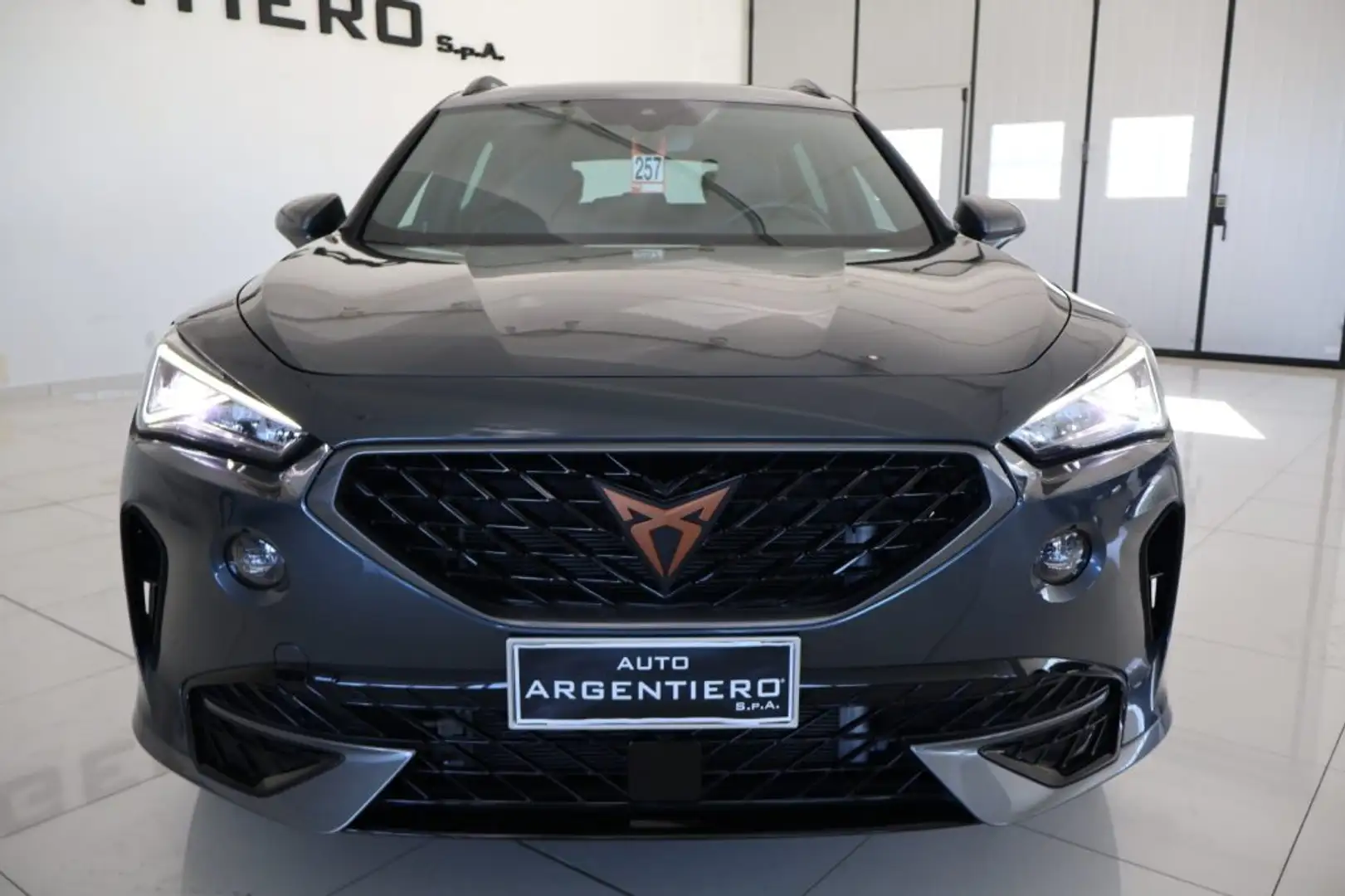 CUPRA Formentor 2.0 TDI Manuale soli 20.877 km!!!! Grigio - 2