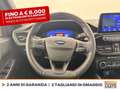 Ford Kuga 2.5 phev st-line x 2wd 225cv cvt Blue - thumbnail 21