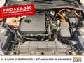Ford Kuga 2.5 phev st-line x 2wd 225cv cvt Blue - thumbnail 13