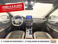 Ford Kuga 2.5 phev st-line x 2wd 225cv cvt Blue - thumbnail 11