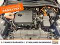 Ford Kuga 2.5 phev st-line x 2wd 225cv cvt Blu/Azzurro - thumbnail 13