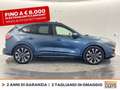 Ford Kuga 2.5 phev st-line x 2wd 225cv cvt Blue - thumbnail 5