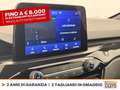 Ford Kuga 2.5 phev st-line x 2wd 225cv cvt Blue - thumbnail 27