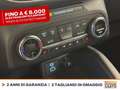 Ford Kuga 2.5 phev st-line x 2wd 225cv cvt Blue - thumbnail 28