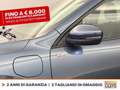 Ford Kuga 2.5 phev st-line x 2wd 225cv cvt Blue - thumbnail 16