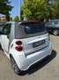 smart forTwo Fortwo II Cabrio Cabrio 1.0 mhd  71cv Bianco - thumbnail 4