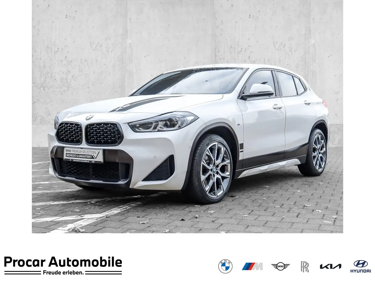 BMW X2 sDrive20i NAVI LED Sound Syst. PDC V+H DAB Wit - 1