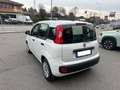 Fiat Panda Panda 1.2 Easy Easypower Gpl 69cv Blanc - thumbnail 4