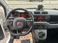 Fiat Panda Panda 1.2 Easy Easypower Gpl 69cv Blanc - thumbnail 10