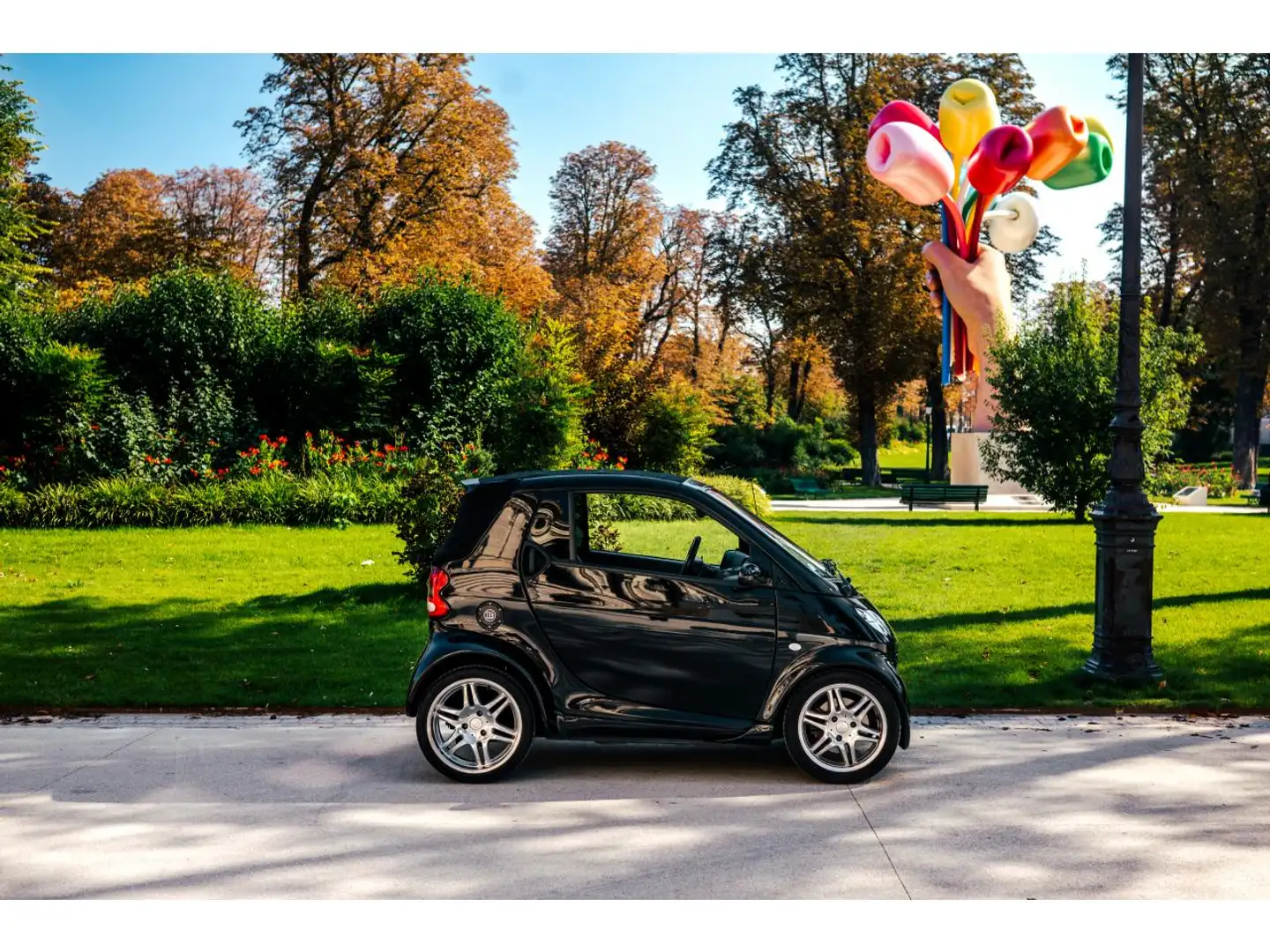 smart forTwo Smart Fortwo Cabrio BRABUS Ultimate 101 Noir - 1