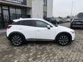 Mazda CX-3 CX-3 1.8L Skyactiv-D AWD Exceed Blanco - thumbnail 3