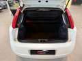Fiat Grande Punto Grande Punto 5p 1.2 Active 65cv NEOPATENTATI Weiß - thumbnail 21