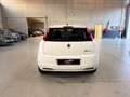 Fiat Grande Punto Grande Punto 5p 1.2 Active 65cv NEOPATENTATI Weiß - thumbnail 7