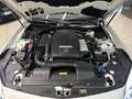 Mercedes-Benz SLC 200 AMG line UNICO PROPRIETARIO Alb - thumbnail 6