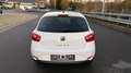 SEAT Ibiza Ibiza  5-Türer 1.4 16V Style*Zahnriemen Neu Weiß - thumbnail 4