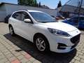 Ford Kuga 2,5 Duratec PHEV ST-Line Aut. Weiß - thumbnail 9