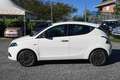Lancia Ypsilon 1.2 69cv GPL Gold Blanc - thumbnail 8