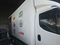 Iveco Daily Chasis Cabina 35C17 4100 Tor 170 - thumbnail 7